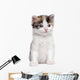 Kitten Wall Decal