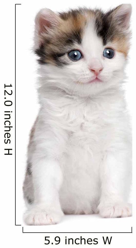 Kitten Wall Decal