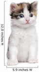 Kitten Wall Decal