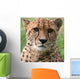 Cheetah Wall Decal