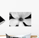 Magnolia 1 Wall Decal