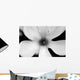 Magnolia 1 Wall Decal
