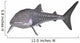 Whale Shark Wall Decal