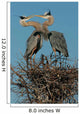Great Blue Heron Wall Mural