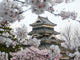 Matsumoto Castle during Cherry-blossom Wall Decal