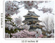 Matsumoto Castle during Cherry-blossom Wall Decal