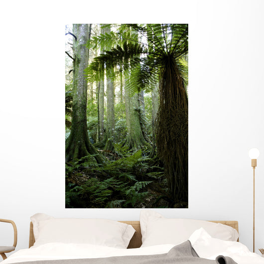 Tropical Forest Wall Decal Design 2