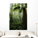 Tropical Forest Wall Decal Design 2