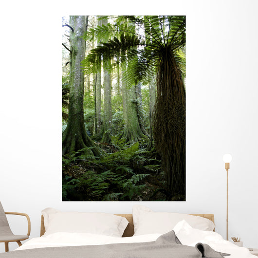 Tropical Forest Wall Decal Design 2
