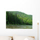 Siberian Mountain River Mana Wall Decal