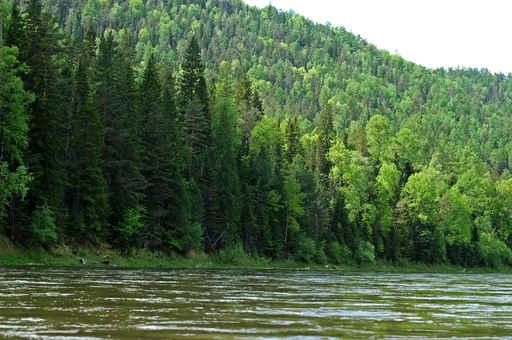 Siberian Mountain River Mana Wall Decal