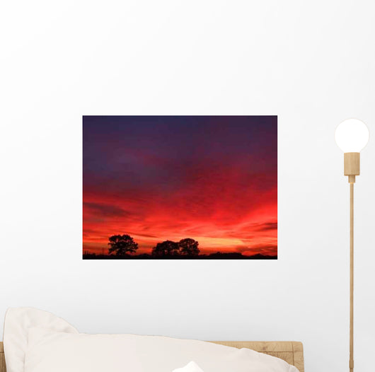 Brilliant Sunset Wall Decal