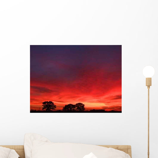Brilliant Sunset Wall Decal