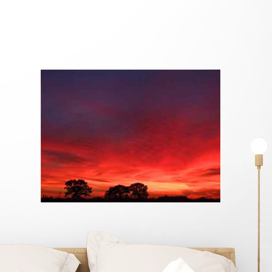 Brilliant Sunset Wall Decal
