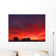 Brilliant Sunset Wall Decal