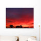 Brilliant Sunset Wall Decal