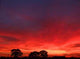 Brilliant Sunset Wall Decal
