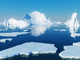 Icebergs Wall Decal
