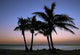 Sunset Key West Wall Decal