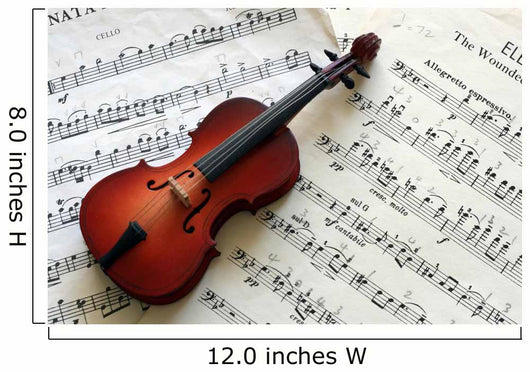 Cello with Music Wall Decal