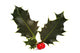 Holly and Red Berries Wall Decal