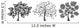 Fantasy Trees Wall Decal