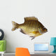 Bluegill Lepomis Macrochirus Wall Decal