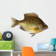 Bluegill Lepomis Macrochirus Wall Decal