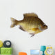 Bluegill Lepomis Macrochirus Wall Decal