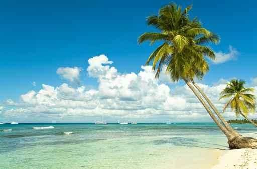 Tropical Beach Wall Decal Design 6