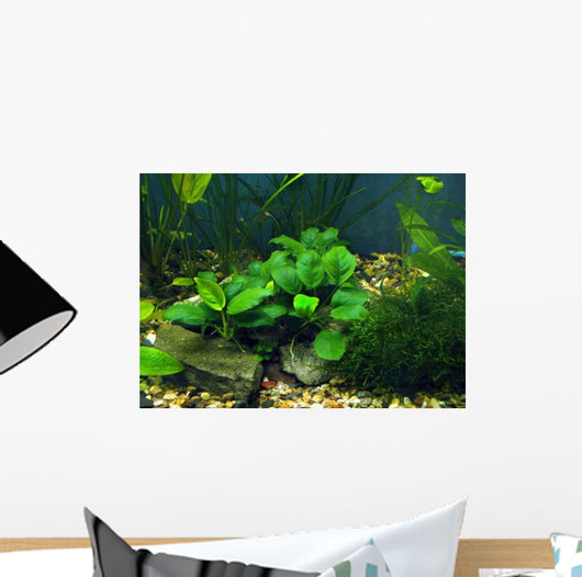Aquarium Wall Decal