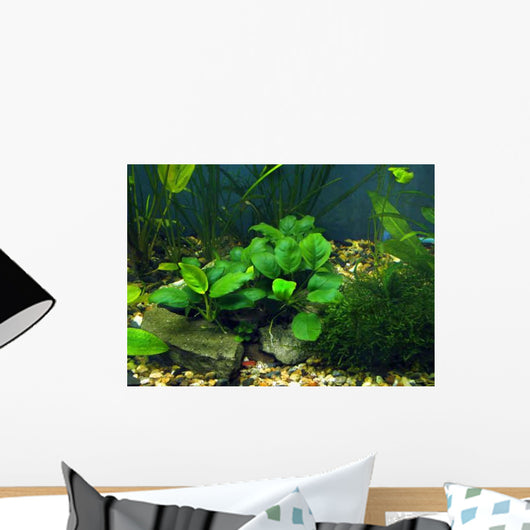 Aquarium Wall Decal