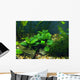 Aquarium Wall Decal