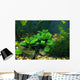 Aquarium Wall Decal