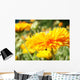 Calendula Wall Decal