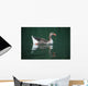 Duck On Water Wall Mural