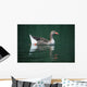 Duck On Water Wall Mural