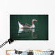 Duck On Water Wall Mural
