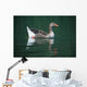 Duck On Water Wall Mural
