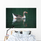 Duck On Water Wall Mural