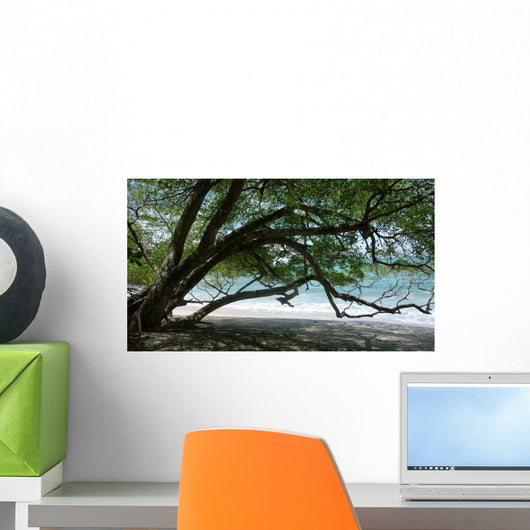 Poisonous Tree Beach Wall Decal