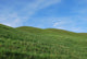 Quot Rolling Hills Tirol Wall Decal