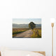 Gravel Road Smoky Mountains Wall Decal