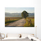 Gravel Road Smoky Mountains Wall Decal