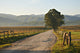Gravel Road Smoky Mountains Wall Decal