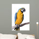 Macaw Blue and Gold Wall Decal