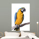 Macaw Blue and Gold Wall Decal