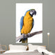 Macaw Blue and Gold Wall Decal