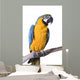 Macaw Blue and Gold Wall Decal