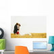 Bride And Groom Kiss Wall Mural